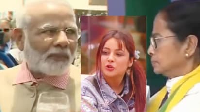 'তোয়াড্ডা কুত্তা Tommy'-তে এবার মোদী-মমতা, ঝড়ের গতিতে ভাইরাল হচ্ছে ভিডিও