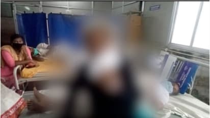 വീട്ടമ്മയെ ആക്രമിച്ച് സ്വർണാഭരണങ്ങൾ കവർന്നു; ഫാമിൽ നിന്ന് കോഴികളെയും മുയലിനെയും മോഷ്ടിച്ചു