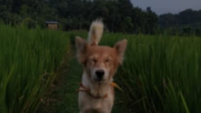 'ബീപാത്തു'വിന്‍റെ ഓര്‍മ്മകളില്‍ വിതുമ്പി ഒരു നാട്