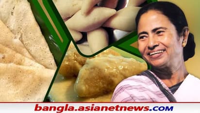 'পিঠে-পুলিতে মিষ্টিমুখ হোক সকলের', পৌষ সংক্রান্তিতে শুভেচ্ছা মমতার