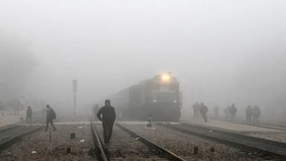 রবিবার কুয়াশায়-হিমেল হাওয়ায় ভোর হল কলকাতায়, হালকা বৃষ্টি হতে পারে উত্তরবঙ্গে
