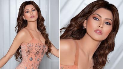 What is Urvashi Rautela doing in Ambani's $73 million private jet? See picture