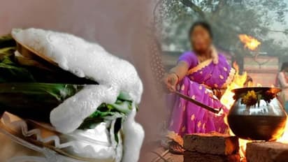 பொங்கல் ஏன் கொண்டாடப்படுகிறது?