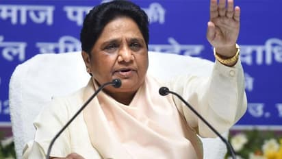 मायावती का बड़ा ऐलान- यूपी चुनाव में किसी भी माफिया को BSP नहीं देगी टिकट, मुख्तार अंसारी का भी कटा पत्ता