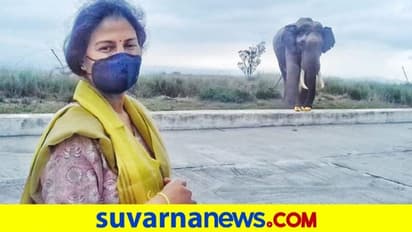 3 ವರ್ಷದ ನಂತ್ರ ದೇವಾಲಯಕ್ಕೆ ಬಂದ ಆನೆ: ಪ್ರಸಾದ ತಿನ್ನಿಸಿದ IAS ಅಧಿಕಾರಿಗೆ ಟೀಕೆ