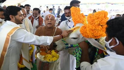 కామధేను పూజలో వైఎస్ జగన్.. పంచెకట్టు, కండువాతో అదిరింది (చూడండి)