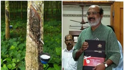 റബര് മേഖലയ്ക്ക് ആശ്വാസം; തറ വില 170 ആക്കി ഉയര്ത്തി