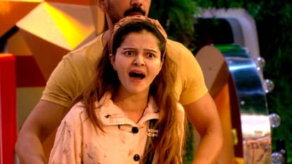 Bigg Boss 14: Rakhi Sawant, Aly Goni have an epic clash in the house; read details