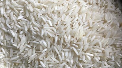 ಅಕ್ಕಿ ದೀರ್ಘಕಾಲ ಸಂಗ್ರಹಿಸಲು ಈ ಟಿಪ್ಸ್ ಟ್ರೈ ಮಾಡಿ