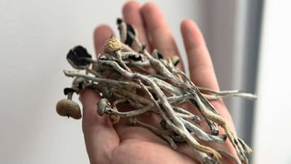 ബൈപോളാര്‍ ഡിസോഡറിന് മാജിക് മഷ്റൂം ഉപയോഗിച്ച് സ്വയം ചികിത്സ; ആശുപത്രിയിലായി യുവാവ്