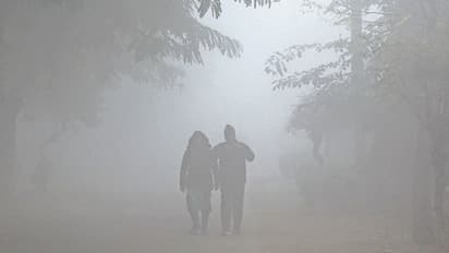 পশ্চিমী ঝঞ্ঝায়  আটকে উত্তুরে হাওয়া,  রবিবারের পর ফের নামবে পারদ, হতে পারে বৃষ্টিও