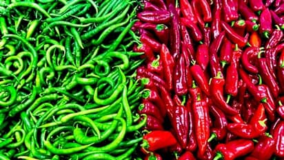 Green chilli or red chilli