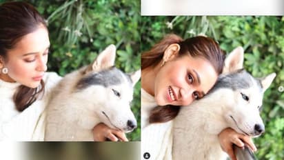 রবিবারের অবসর সময় কার সঙ্গে আদুরে ভালবাসায় মত্ত মিমি, চুম্বনে ভরিয়ে দিলেন তাকে