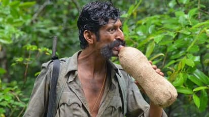 വീരപ്പൻ വിരാജിച്ച സത്യമംഗലം കാട്, ഗോപിനാഥം മുതൽ ഹൊഗനക്കൽ വരെ വനയാത്ര; സഫാരി ഉടൻ തുടങ്ങും, അറിയേണ്ടതെല്ലാം
