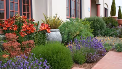 വീട്ടില് മെഡിറ്ററേനിയന് രീതിയില് പൂന്തോട്ടമൊരുക്കാം; വിശ്രമിക്കാന് ഒരിടം കണ്ടെത്താം