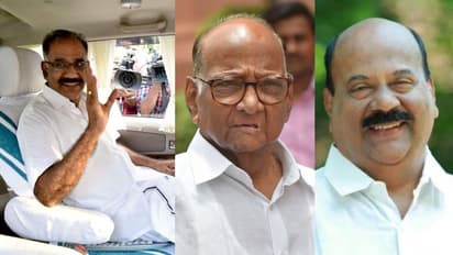 ശരദ് പവാറിനെ തള്ളി ശശീന്ദ്രൻ വിഭാഗം: എൽഡിഎഫിൽ ഉറച്ചു നിൽക്കും