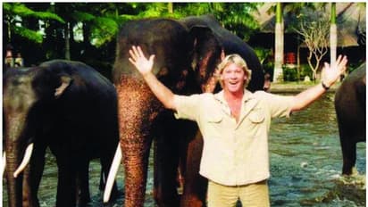 അച്ഛന്റെ ആഗ്രഹം നിറവേറ്റി ഇർവിന്റെ മക്കൾ, ഇന്തോനേഷ്യയിൽ ആനകള്‍ക്കായി ആശുപത്രി തുറന്നു