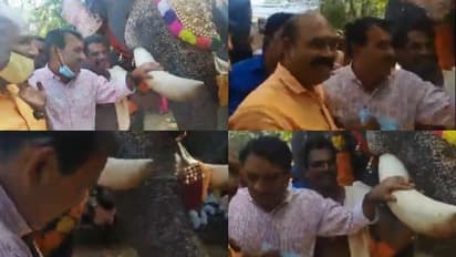 ആനക്കൊമ്പിൽ പിടിച്ചു ഫോട്ടോയ്ക്ക് പോസ് ചെയ്ത ബി.ഗോപാലകൃഷ്ണനെതിരെ വനംവകുപ്പിന് പരാതി