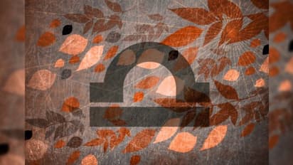 Astrology News- তুলা রাশির ব্যক্তিদের কেমন কাটবে এই মাস, দেখে নিন