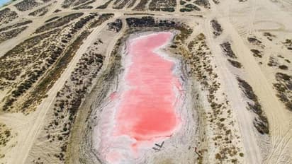 വൈറലായി 'യുഎഇയിലെ പിങ്ക് തടാകം'; വ്യാജമെന്ന് ആരോപണം, പഠനം ആവശ്യമെന്ന് അധികൃതര്