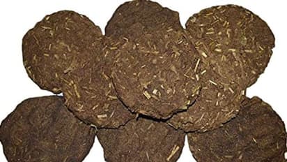 భారతీయుడి బ్యాగ్లో పిడకలు.. పరుగులు తీసిన వాషింగ్టన్ ఎయిర్పోర్ట్ సిబ్బంది