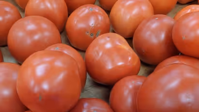 Bengaluru| ಟೊಮೆಟೋ ದುಬಾರಿ: ಕೇಜಿಗೆ ಈಗ 70 ರೂ., ಗ್ರಾಹಕರ ಜೇಬಿಗೆ ಕತ್ತರಿ