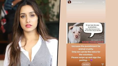 Shraddha Kapoor's love for voiceless; actress’ latest social media shows it