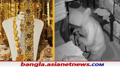 সাবধানের মার নেই, ২৫ কিলো সোনা চুরি করতে দিল্লিতে চোরের ভরসা পিপিই কিট