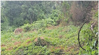 വനപാലകർക്ക് നേരെ നായാട്ട് സംഘത്തിന്റെ ആക്രമണം