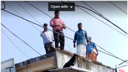 മൂന്നാം നിലയില് മൂന്ന് മണിക്കൂര്; കെട്ടിടത്തിന്റെ മുകളില് കുടുങ്ങിയ തെരുവ് നായയെ രക്ഷപ്പെടുത്തി