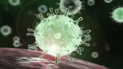 മലപ്പുറത്ത് 55 പഞ്ചായത്തുകളിൽ മെയ് 14 വരെ നിരോധനാജ്ഞ