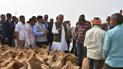 Chhattisgarh records highest paddy procurement in 20 years