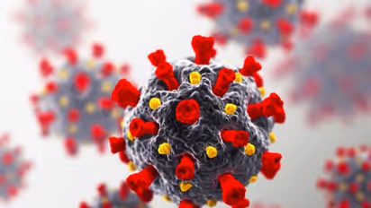 சூர்யாவை தொடர்ந்து மற்றொரு தமிழ் நடிகருக்கு கொரோனா..! திரையுலகினர் அதிர்ச்சி!