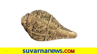 ಈ ಶಂಖಗಳ ಮನೆಯಲ್ಲಿಡಿ, ಸಖತ್ ಲಾಭ, ಸಮೃದ್ಧಿ ಪಡೆಯಿರಿ!