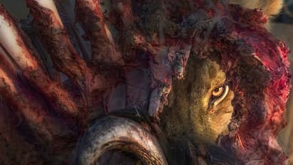 ആ ചിത്രങ്ങൾക്ക് പിന്നിൽ: വന്യജീവികളെയും കാടിനെയും പകർത്താൻ ഫോട്ടോഗ്രാഫർമാർ നടത്തിയ അപകടയാത്രകൾ