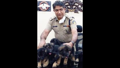 ಡ್ರಗ್ಸ್, ಸ್ಫೋಟಕ ಪತ್ತೆಯೇ ಟಾರ್ಗೆಟ್: ದೇಶ ರಕ್ಷಣೆಗೆ ಸಜ್ಜಾಗುವ ಶ್ವಾನ ಮರಿಗಳೊಂದಿಗೆ ಎಡಿಜಿಪಿ ಫೋಸ್!