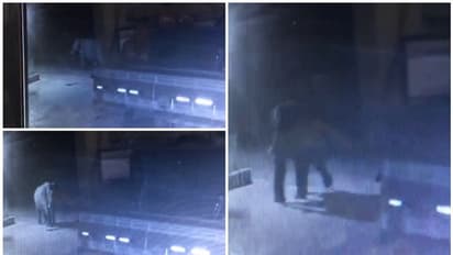 വൈദ്യുത വേലി കവച്ച് കടന്ന് കാട്ടാന ദേശീയപാതയില്‍; ഭീതിയില്‍ ജനം