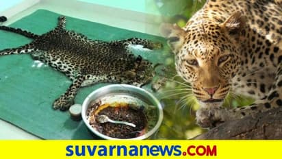 ಚಿರತೆ ಹಿಡಿದು ಕೊಂದು ಅಡುಗೆ ಮಾಡಿ ತಿಂದರು..! ಐವರು ಅರೆಸ್ಟ್