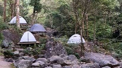 യുവതിയെ കാട്ടാന ചവിട്ടിക്കൊന്ന സംഭവം; താമസിച്ചിരുന്ന ഹോം സ്റ്റേക്ക് ലൈസൻസ് ഇല്ലെന്ന് പഞ്ചായത്ത്