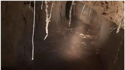 ഇന്ത്യയിലേക്ക് തീവ്രവാദികളെ കടത്താനായി നിര്മ്മിച്ച തുരങ്കം കണ്ടെത്തി; 8 വര്ഷം പഴക്കമുള്ളതെന്ന് റിപ്പോര്ട്ട്