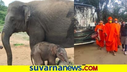 ಬನ್ನೇರುಘಟ್ಟ ಜೈವಿಕ ಉದ್ಯಾನಕ್ಕೆ ಸಿದ್ದಗಂಗಾ ಶ್ರೀ ಭೇಟಿ : ಆನೆಮರಿಗೆ ನಾಮಕರಣ