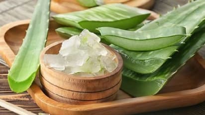 മുഖസൗന്ദര്യത്തിന് കറ്റാർവാഴ; ഉപയോ​ഗിക്കേണ്ട വിധം...