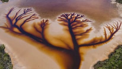 దర్భముళ్ల తెలుగు కవిత: ఆహా! ప్చ్!!