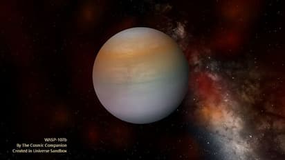 Astrology News- নভেম্বর মাসেই মিলবে বড় সুখবর, সিংহ রাশির কেমন কাটবে মাস