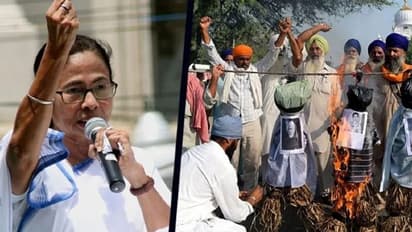 ট্রাক্টর মিছিল ঘিরে রণক্ষেত্র রাজধানী, 'এই পরিস্থিতির জন্য দায়ী কেন্দ্রের উদাসীনতা', ট্যুইট খোঁচা মমতার