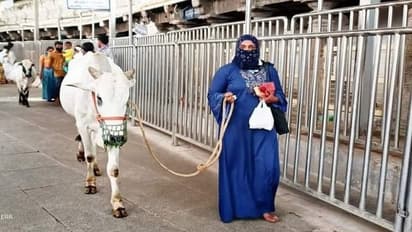 వేములవాడలో కోడెమొక్కు చెల్లించుకున్నముస్లిం మహిళ