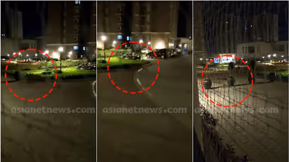 ബെംഗളൂരുവിൽ അപ്പാർട്ട്മെൻ്റ് കോംപ്ലക്സിൽ പുലി ! പിടിക്കാൻ ശ്രമം തുടരുന്നു