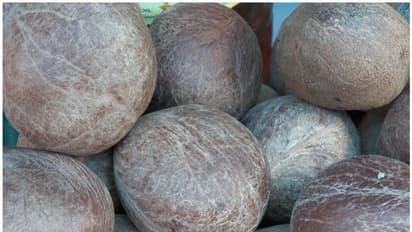 കൊപ്രയുടെ താങ്ങുവില ക്വിന്റലിന് 375 രൂപ കൂട്ടി