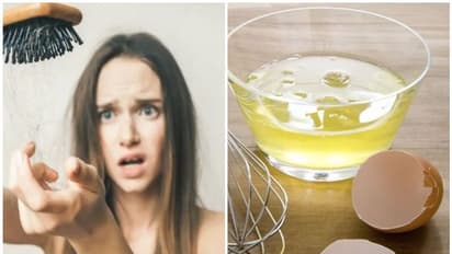 Hair Packs For Hair Fall :  മുടികൊഴിച്ചിലും താരനും അകറ്റാൻ ഈ ഹെയർ പാക്കുകൾ ഉപയോ​ഗിക്കാം 