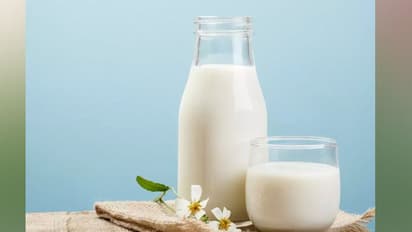 ಹಾಲು ಕುಡಿದರೆ ಅಲರ್ಜಿಯಾ..? ಈ ಹಾಲನ್ನು ಕುಡಿಯಬಹುದು ತೊಂದರೆ ಇಲ್ಲ